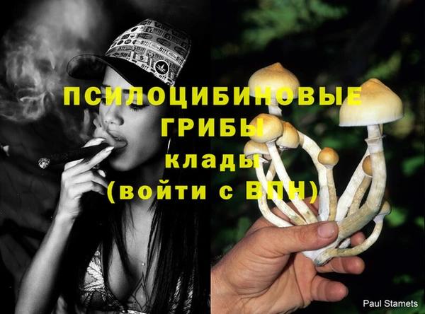 крисы Карталы