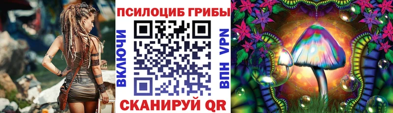 Псилоцибиновые грибы MAGIC MUSHROOMS  Купить  Балабаново 